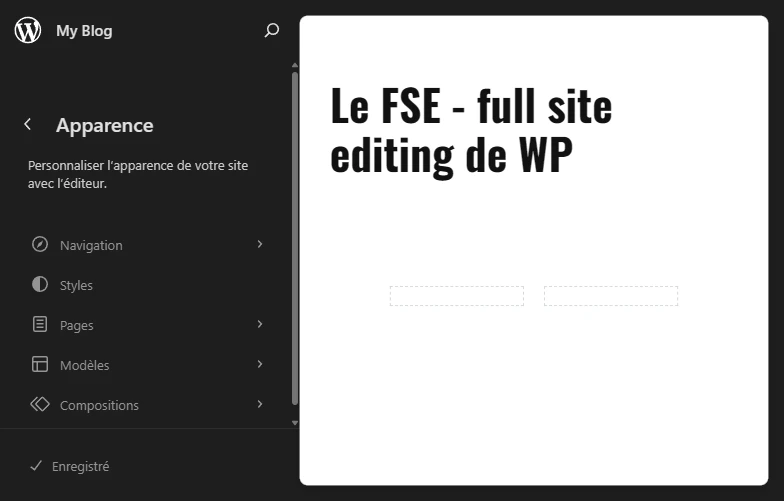 La fenêtre du mode FSE