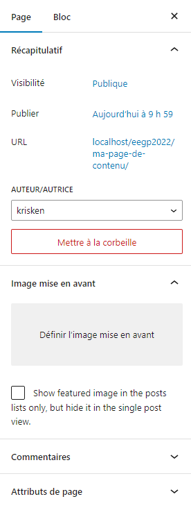 capture de la partie édition de pagesous wordpress 6.2