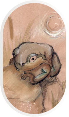 illustration aquarelle et crayons secs